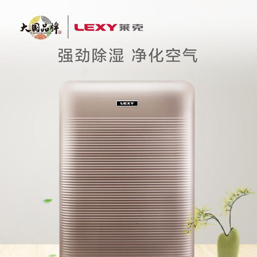 莱克除湿机DH350 商品图1