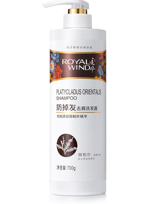 追风 追风防掉发去屑洗发露700g/480g 商品图0
