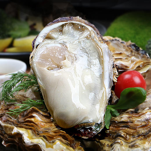 【北海湾】生蚝牡蛎鲜活4斤装送刀子手套芥末3件套海蛎子生鲜 商品图4