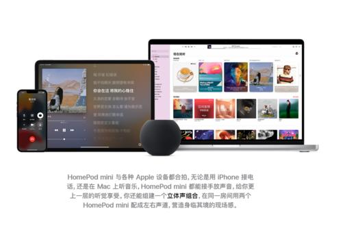 【推荐】苹果原装HomePod Mini，成色二手95新以上 商品图6