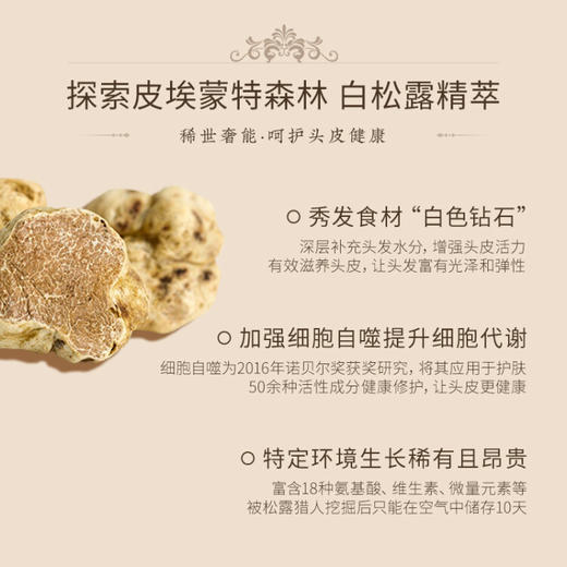 植物语录  白松露系列  南极冰藻精油深层修护护发素500ml 商品图2