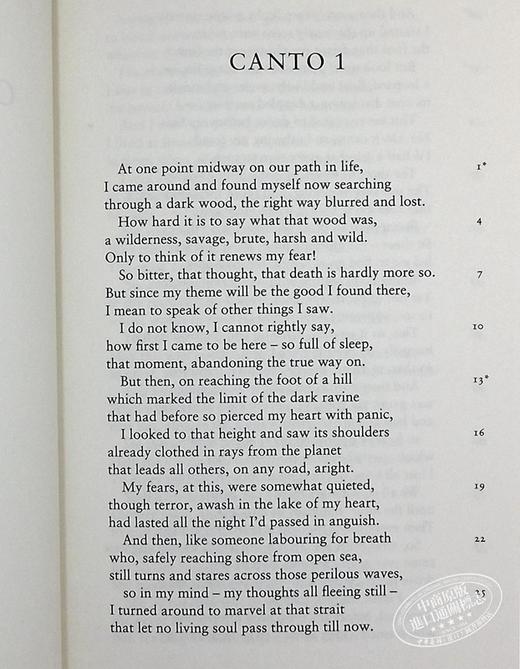 【中商原版】但丁：神曲 The Divine Comedy 英文原版 Dante Alighieri 商品图6