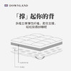 【石榴婆专享】DOWNLAND英国品牌 Classical环球客复合鹅毛软垫 如睡云端般舒适 11月25日后发货 商品缩略图3