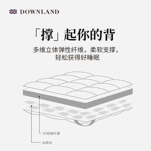 【石榴婆专享】DOWNLAND英国品牌 Classical环球客复合鹅毛软垫 如睡云端般舒适 11月25日后发货 商品图3