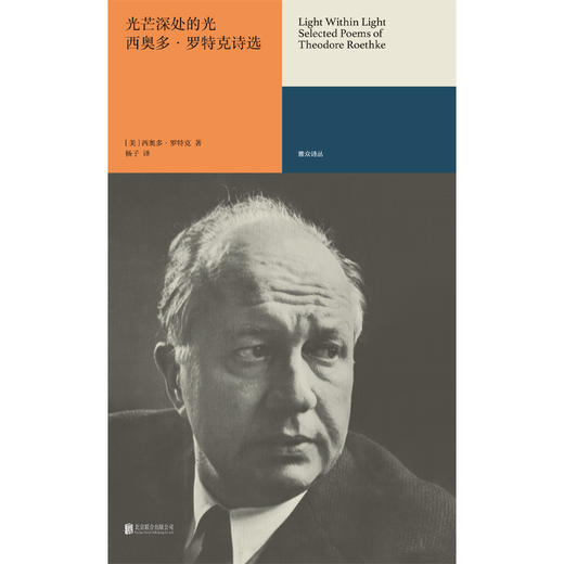 光芒深处的光：西奥多·罗特克诗选 商品图2