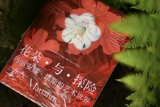 花朵与探险：玛丽安娜·诺斯的艺术世界，一座纸上的植物园，看尽世界奇珍异幻的花草树木 画册 商品图8