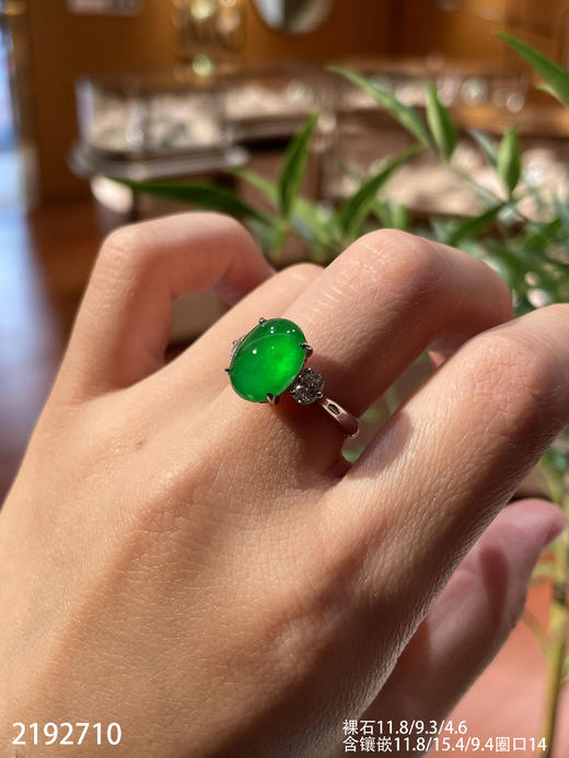 老坑玻璃帝王绿黄阳蛋面戒指【2192710】具体价格微信咨询 商品图2
