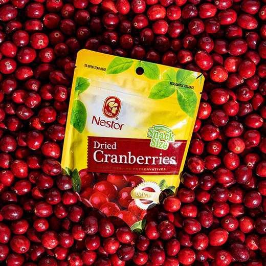 Nestor蔓越莓干100/454g 自然轻酸锁住营养雪花酥饼干烘焙用料 058479/058856 商品图0