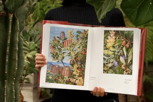 花朵与探险：玛丽安娜·诺斯的艺术世界，一座纸上的植物园，看尽世界奇珍异幻的花草树木 画册 商品图6