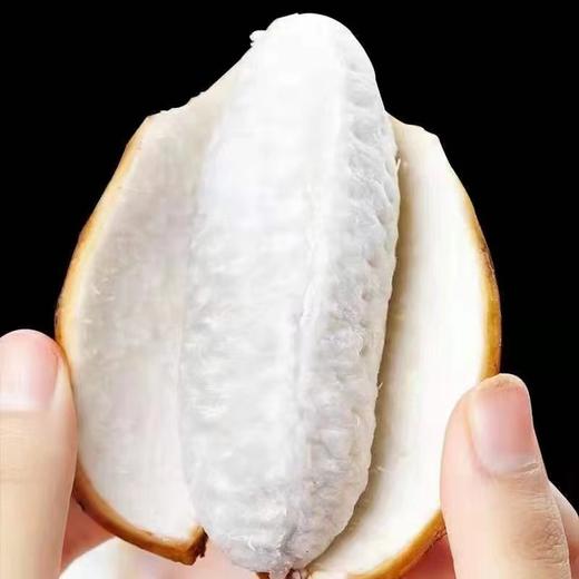 网红八月瓜|水果 商品图2