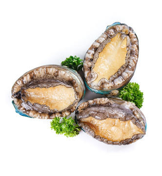 巨无霸大鲍鱼   一斤5只上下 商品图1