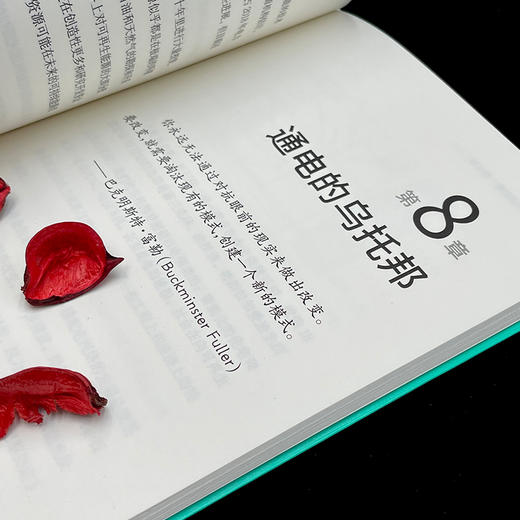 零碳：重塑世界的可再生能源 商品图5