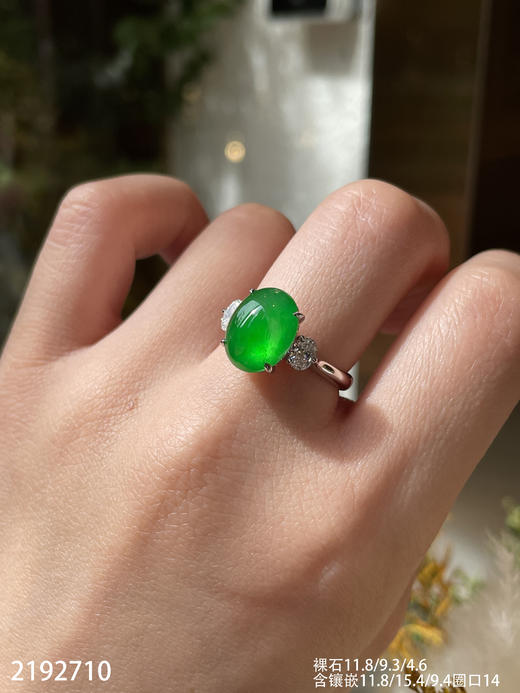 老坑玻璃帝王绿黄阳蛋面戒指【2192710】具体价格微信咨询 商品图4