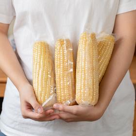 菜菜家五常白糯玉米|回购无数次！皮嫩到爆浆，香甜糯叽叽