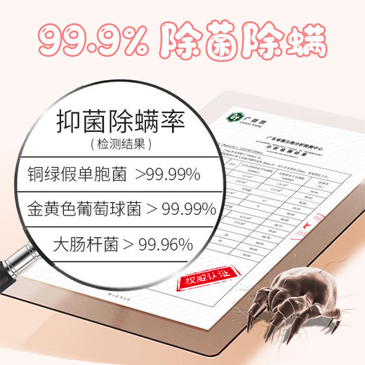 
【2瓶】偶爱你内衣泡泡慕斯300ml*2瓶 商品图4