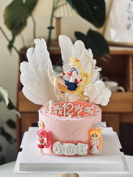 美少女战士 商品图0