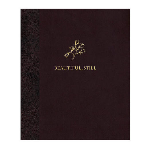 【预订】Beautiful Still | 美丽 依然 英文摄影集 商品图1