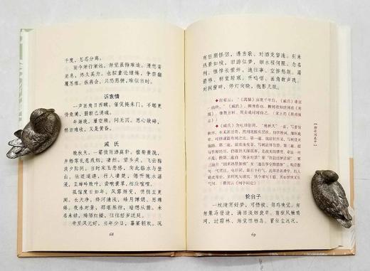 《历代名家词集》，32开精装函套，共10册，黄霖等导读，上海古籍出版社2018年版，定价328，售价100 商品图8