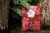 花朵与探险：玛丽安娜·诺斯的艺术世界，一座纸上的植物园，看尽世界奇珍异幻的花草树木 画册 商品缩略图9