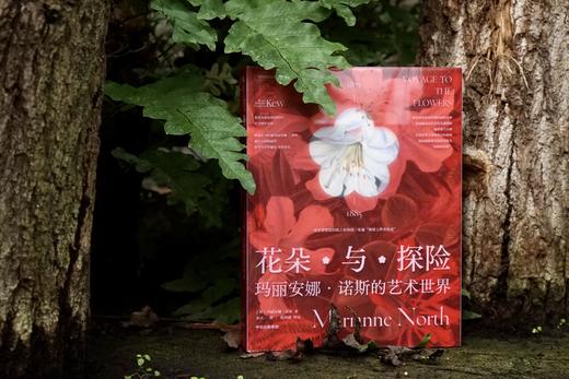 花朵与探险：玛丽安娜·诺斯的艺术世界，一座纸上的植物园，看尽世界奇珍异幻的花草树木 画册 商品图9