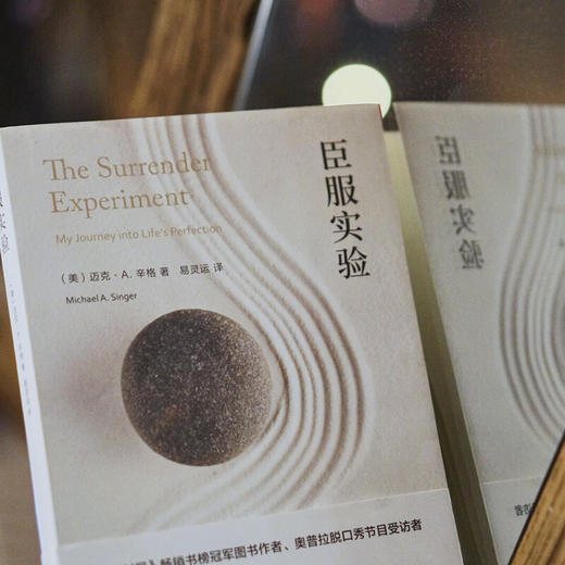 臣服实验 迈克•A. 辛格 著 励志 商品图1
