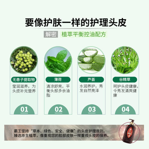 霸王   无患子平衡控油洗发液  400ml 商品图6