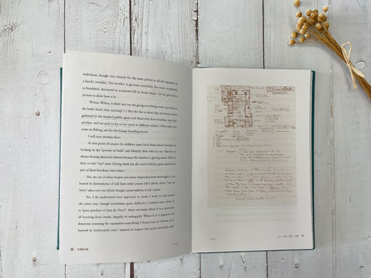 《林徽因集》（增订本，全4册）| 还原真实的一代才女 商品图10