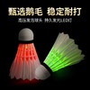 夜光羽毛球鹅毛防风耐打室内外训练夜间荧光灯发光羽毛球忍牌2个/筒 商品缩略图2
