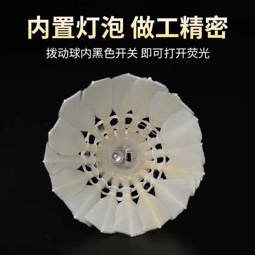 夜光羽毛球鹅毛防风耐打室内外训练夜间荧光灯发光羽毛球忍牌2个/筒 商品图3