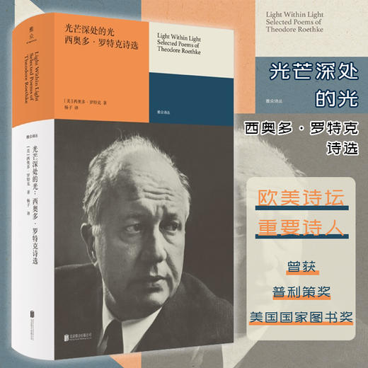 光芒深处的光：西奥多·罗特克诗选 商品图0