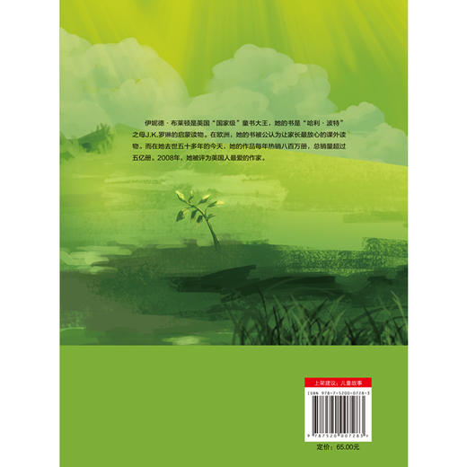 伊妮德·布莱顿的暑假书 商品图2