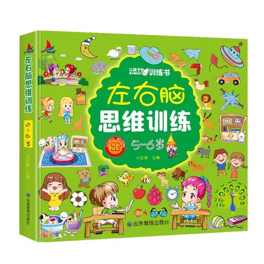 左右脑思维训练 5-6岁 商品图0