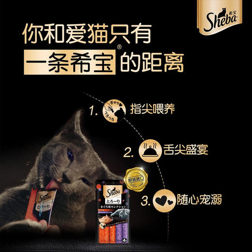 希宝猫条 猫咪宠物零食48g 成幼猫罐软包 增肥营养猫零食 商品图3