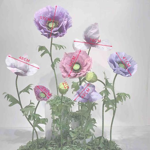 万紫千红套餐（运费自理） 商品图0