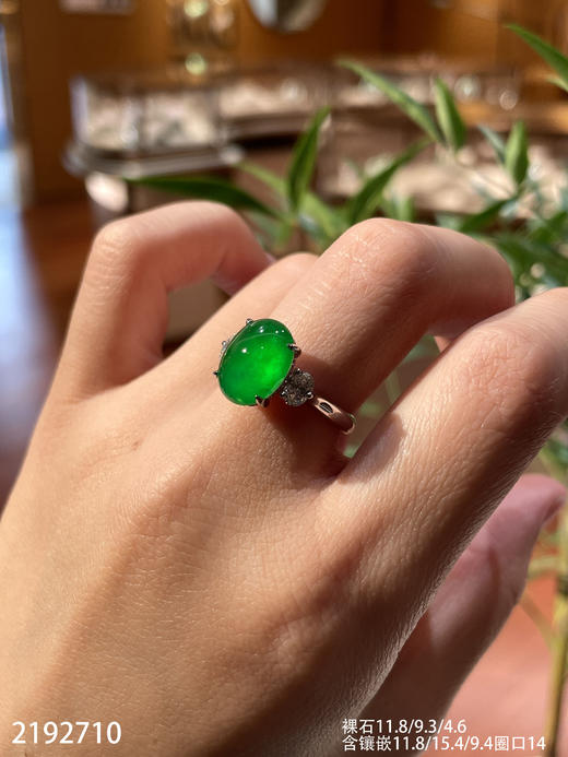 老坑玻璃帝王绿黄阳蛋面戒指【2192710】具体价格微信咨询 商品图1