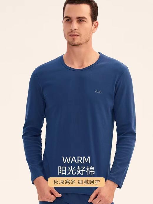 仕乐男士内衣18288 商品图0