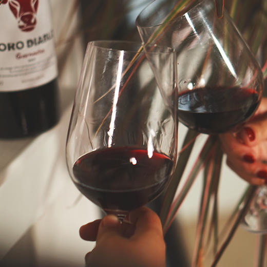 6瓶装箱西班牙进口torodiablogarnacha多罗公牛歌海娜葡萄酒红酒包邮