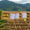 【正宗武夷山一级大红袍】2022新茶 实发5盒100小包 原产地直发 商品缩略图1