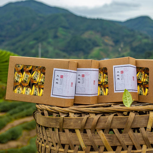 【正宗武夷山一级大红袍】2022新茶 实发5盒100小包 原产地直发 商品图1