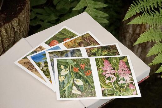花朵与探险：玛丽安娜·诺斯的艺术世界，一座纸上的植物园，看尽世界奇珍异幻的花草树木 画册 商品图4