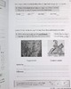 CGP儿童教辅 探索与学习历史系列 全套14册 含练习 KS2 Discover & Learn History:Complete 14 Book 7-10岁 商品缩略图6