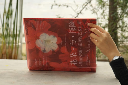 花朵与探险：玛丽安娜·诺斯的艺术世界，一座纸上的植物园，看尽世界奇珍异幻的花草树木 画册 商品图1