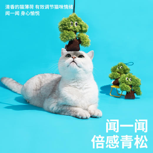 zeze小小松挂饰-B(包邮) 商品图1