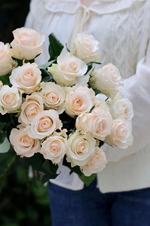 辛西娅玫瑰【用一束花，讲述一个浪漫的故事】简小姐精选 温柔奶油色玫瑰 辛西娅 2件包邮 下单5天发货 商品图8