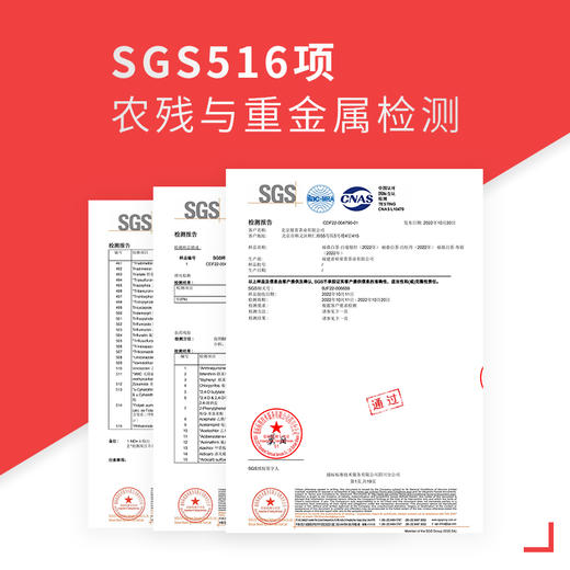 福鼎白茶寿眉小方片2023年份150克饼茶紧压茶欧盟标准甜醇清香 商品图2