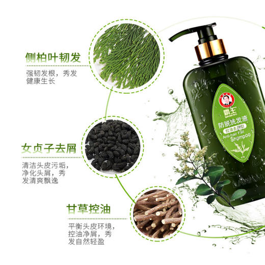 霸王  防脱洗发液（控油去屑型） 400ml 商品图2