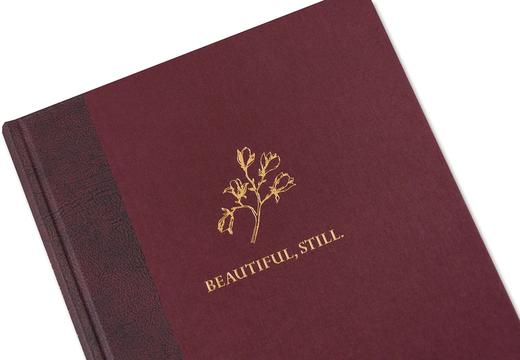 【预订】Beautiful Still | 美丽 依然 英文摄影集 商品图4