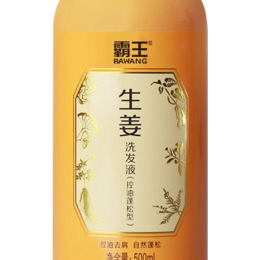 霸王  生姜洗发液（控油蓬松型） 500ml 商品图2