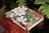 花朵与探险：玛丽安娜·诺斯的艺术世界，一座纸上的植物园，看尽世界奇珍异幻的花草树木 画册 商品缩略图7