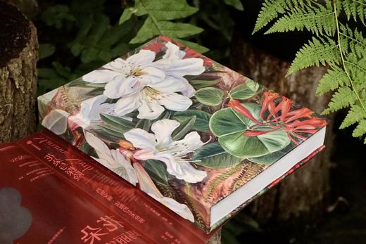 花朵与探险：玛丽安娜·诺斯的艺术世界，一座纸上的植物园，看尽世界奇珍异幻的花草树木 画册 商品图7